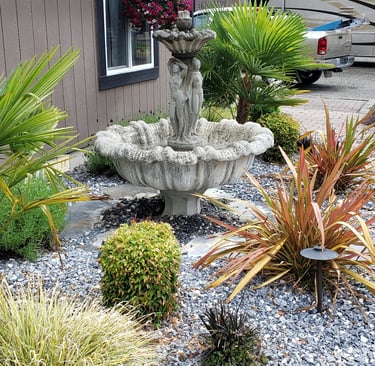 flax as an accent plant