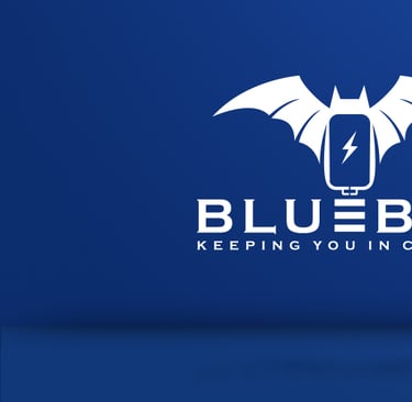 Charging Device | Bluebat BB101 for optimum charging. Timed and delayed charge with heat sensor