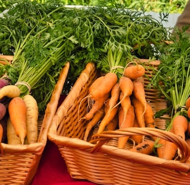 multiple carrots that have been grown in containers