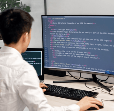 Software Development