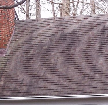 Is Gloeocapsa magma eating your roof? roof wash roof washing