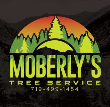 Moberly’s Tree Service logo with a green tree silhouette and sunset background, featuring bold text and the contact number