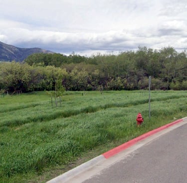 a red fire hydrant sitting on the side of a road