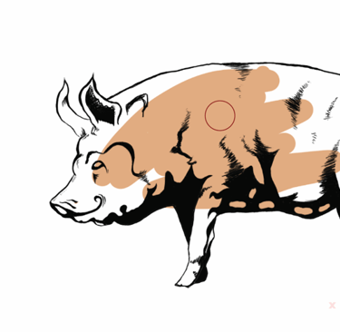 Progress of early cover for "Animal Farm"