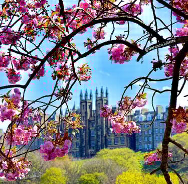 New College vue depuis Princes Street entouré de fleurs