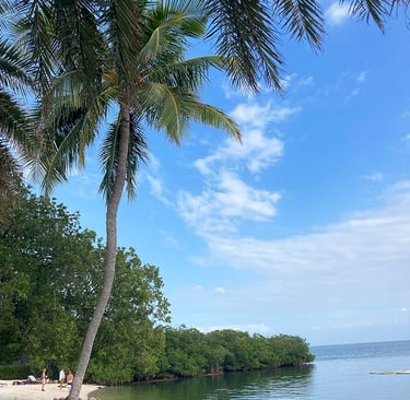 Plage de l'hotel Pelican Cove Resort & Marina, Islamorada