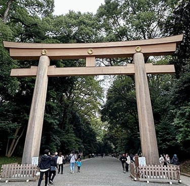 Entrée du temple Meiji-jinu