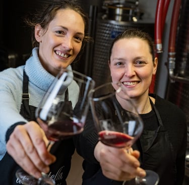 Vino di Roddino delle Langhe