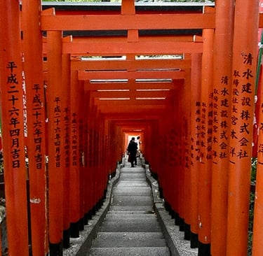 tunnel de torii du sanctuaire shinto Hie Shrine