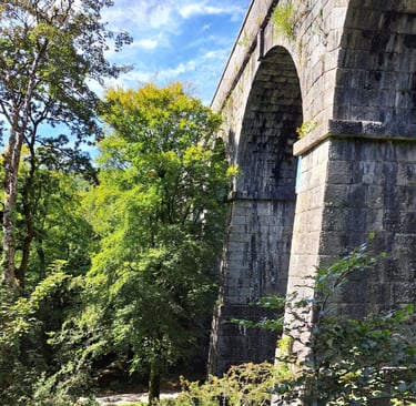 Luxulyan Valley / Viaduct