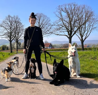 Nella mit 6 Hunden beim Dogwalking