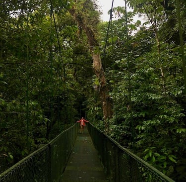 Monteverde Selvatura Park Hängebrücken
