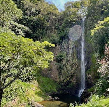 Viento Wasserfall Wanderung Costa Rica Monteverde