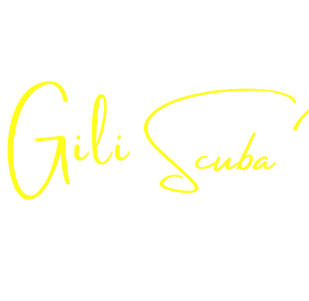 Logo for Gili Scuba Diving, the ideal place to try scuba diving and explore the world's oceans from Gili Trawangan.