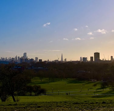 Vue depuis Primrose Hill