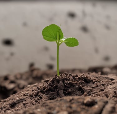 white concrete building
