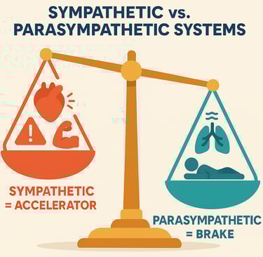 Diagram illustrating the imbalance between sympathetic and parasympathetic nervous systems in PE