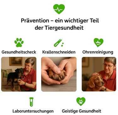 Tierheilpraktikerin Sikorska spricht über der Vorsorge bei Hunden