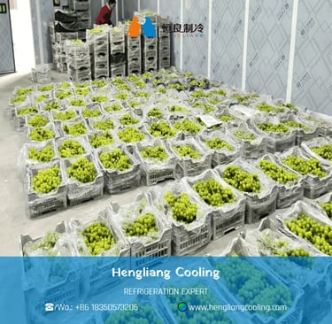 fruit and vegetable cold room for fresh produce storage