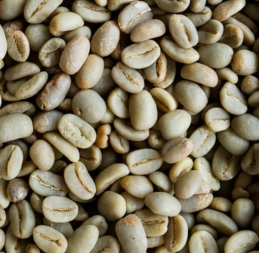 rabica Indonesia Gayo Specialty fully washed – fruity and jam-like (orange, lemon, berries), creamy 