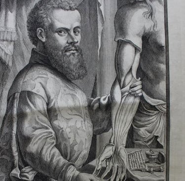 “Anatomical Studies” – Andreas Vesalius (De humani corporis fabrica, 1543)