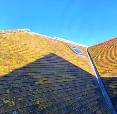 roof cleaning cambridge