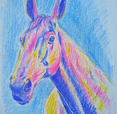 Coloured pencil drawing of a horse head