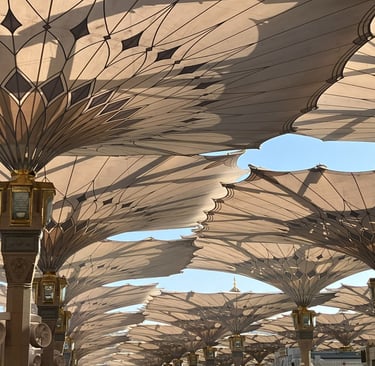 umbrellas of Medina