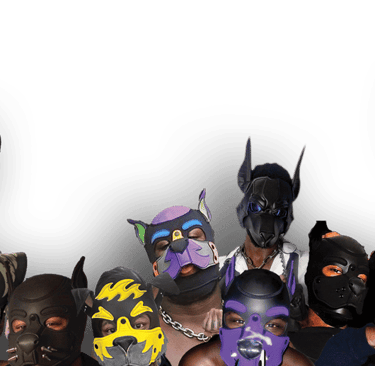 A collage of people posing in pup masks and gear.