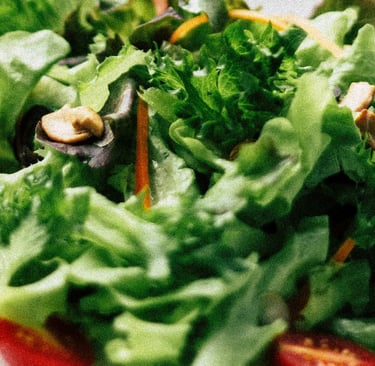 salade mesclun quelle variétés ?