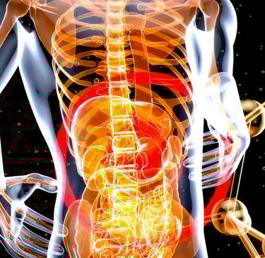 The Gut-Brain Connection: How Your Digestive Health Shapes Your Mental Wellbeing