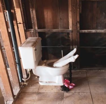 Déboucher les wc