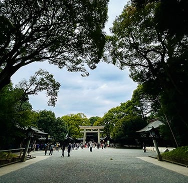 Temple Meiji-jingu
