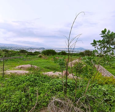 terreno plano regular de 1500 m2 en valle dorado