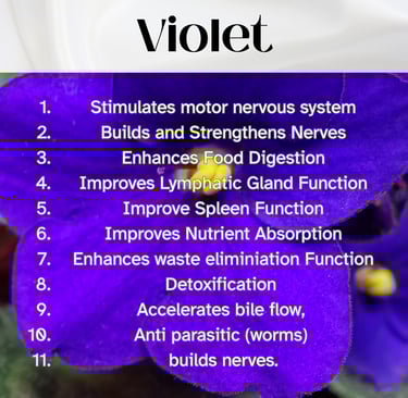 Colour Healing, Healing Light, Chromotherapy, Spechtochrome Violet