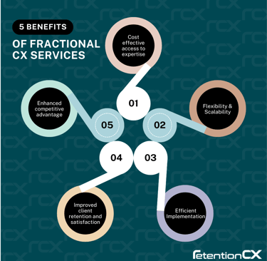 Infographic highlighting the five benefits of working with a CX Consultancy.