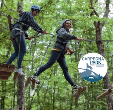 Carpegna Park, parco avventura provincia Pesaro Urbino, parco divertimenti per bambini
