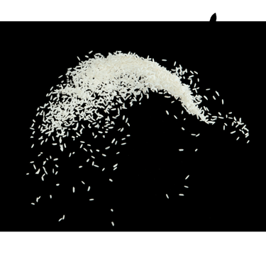 White Raw Rice - WEARE OCEAN EXPORT
