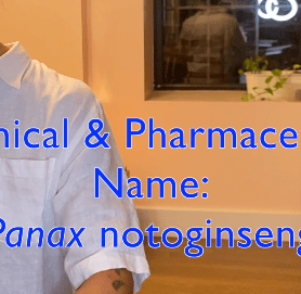 Botanical & Pharmaceutical Name: Panax Notoginseng