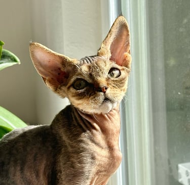 Lyubov sitting on a window sill