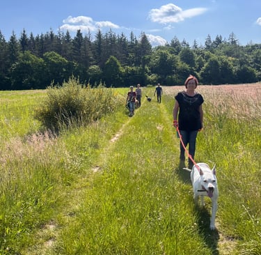 Foto von einen Social Walk.