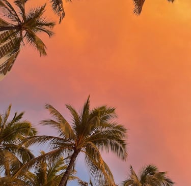 Hawai'i Waikiki O'ahu Sonnenuntergang