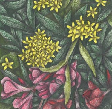 Flowers and Leaves bush hand-drawn botanical illustration