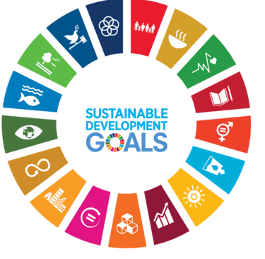 SDG_Wheel