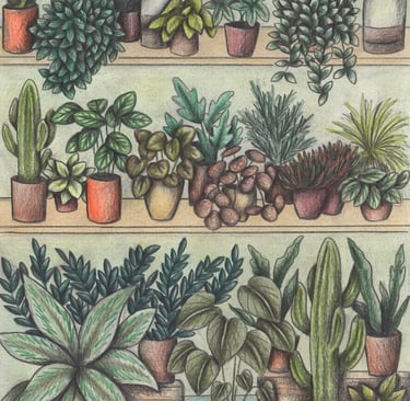 Hand-drawn illustration of a plants shop full of potted plants