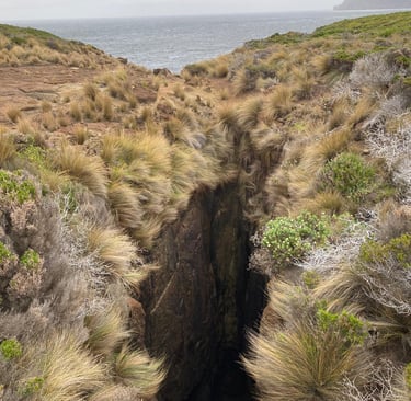 clif inside the path in a hike in Tasman National Park low vegetation windy weather