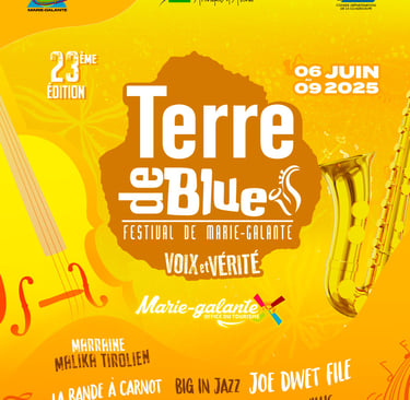 festival terre de blues bateau
