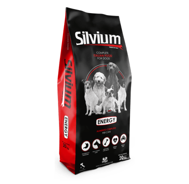 Silvium Energy