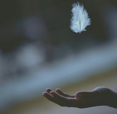 a person holding a white feather feather feather