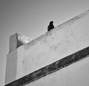 © juergen mack photography - moments